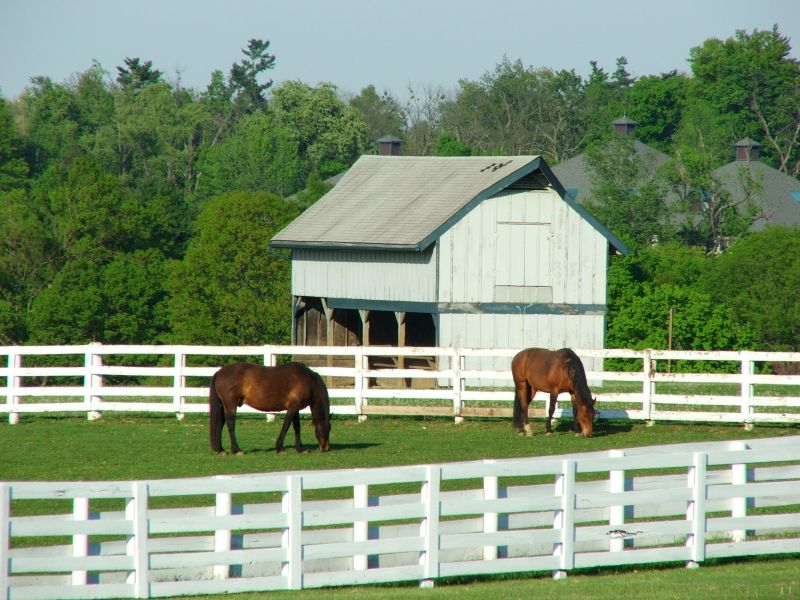 Horse Fence Replacement in Pearland, TX